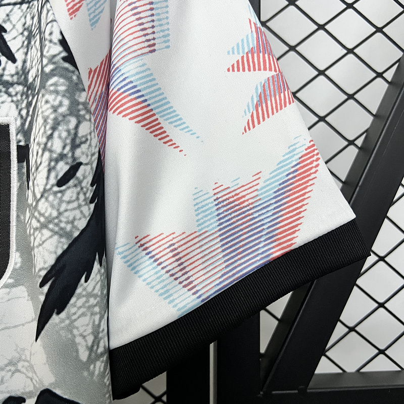 2024-25 Japan Special Edition Football jersey