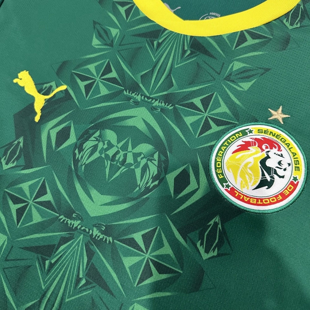 2026 Senegal Away Football jersey