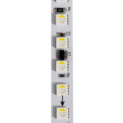 WS2814 4040 RGBW LED Strip Light 24V, 144 LEDs/m, 10 Segments 120 LEDs, 8mm Width, Individually Addressable, DC 24V Programmable Flexible Tape Light,Whymelighting – Pro LED Strips & Diffused Blocks, Factory Direct,WS2814 4040 RGBW LED Strip Light 24V, 144 LEDs/m, 10 Segments 120 LEDs, 8mm Width, Individually Addressable, DC 24V Programmable Flexible Tape Light
