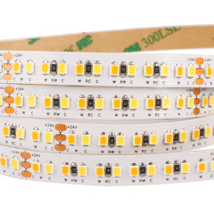 10mm 2835 3-CCT Tunable White LED Strip 24V 19W/m 192LEDs/m 2700K+4000K+6500K Smart Dimmable Dual-Layer PCB Indoor Lighting Tape,Whymelighting – Pro LED Strips & Diffused Blocks, Factory Direct,10mm 2835 3-CCT Tunable White LED Strip 24V 19W/m 192LEDs/m 2700K+4000K+6500K Smart Dimmable Dual-Layer PCB Indoor Lighting Tape