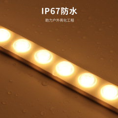20×10mm TPU Flexible Lens Wall Washer Light IP67 Waterproof DC24V DMX512 RGB/RGBW Tunable White 18-24W/m Outdoor Architectural Facade Linear Lighting,Whymelighting – Pro LED Strips & Diffused Blocks, Factory Direct,20×10mm TPU Flexible Lens Wall Washer Light IP67 Waterproof DC24V DMX512 RGB/RGBW Tunable White 18-24W/m Outdoor Architectural Facade Linear Lighting