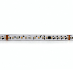 48V DMX512 RGBW 4040 LED Strip, 10 Seg, 100 LEDs, Chasing Effects,Whymelighting – Pro LED Strips & Diffused Blocks, Factory Direct,48V DMX512 RGBW 4040 LED Strip, 10 Seg, 100 LEDs, Chasing Effects