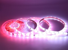 24V 5050 RGB DMX Tape, UCS512C3, 36LED/m, 6px,Whymelighting – Pro LED Strips & Diffused Blocks, Factory Direct,24V 5050 RGB DMX Tape, UCS512C3, 36LED/m, 6px