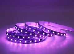 24V 5050 RGBW DMX Tape, UCS512 Series, 60LED/m, 10px,Whymelighting – Pro LED Strips & Diffused Blocks, Factory Direct,24V 5050 RGBW DMX Tape, UCS512 Series, 60LED/m, 10px
