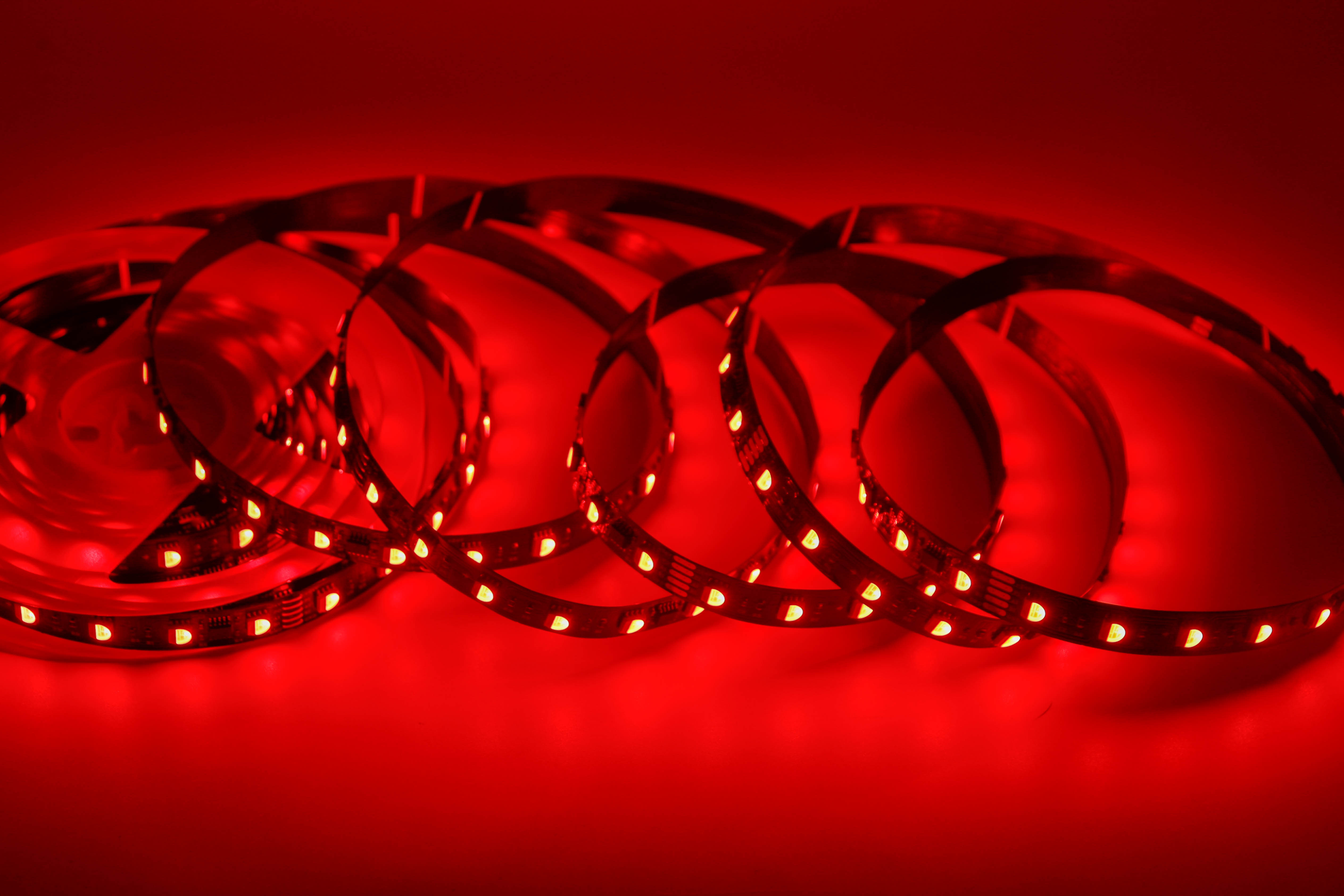 24V 5050 RGBW DMX Strip, UCS512H4L, 60LED/m, 10px, 12mm,Whymelighting – Pro LED Strips & Diffused Blocks, Factory Direct,24V 5050 RGBW DMX Strip, UCS512H4L, 60LED/m, 10px, 12mm