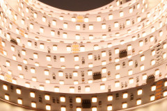24V 2835 White DMX Strip, 240LED/m, 8px, Double Row, UCS512H5L,Whymelighting – Pro LED Strips & Diffused Blocks, Factory Direct,24V 2835 White DMX Strip, 240LED/m, 8px, Double Row, UCS512H5L