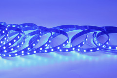 24V 5050 RGB DMX Strip, UCS512C4, 60LED/m, 10px, 12mm,Whymelighting – Pro LED Strips & Diffused Blocks, Factory Direct,24V 5050 RGB DMX Strip, UCS512C4, 60LED/m, 10px, 12mm