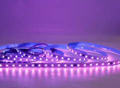 24V 5050 RGBW DMX Tape, UCS512H4, 60LED/m, 10px, 12mm,Whymelighting – Pro LED Strips & Diffused Blocks, Factory Direct,24V 5050 RGBW DMX Tape, UCS512H4, 60LED/m, 10px, 12mm