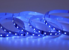 24V 5050 RGBCW DMX Tape, UCS512G6, 60LED/m, 10px, 12mm,Whymelighting – Pro LED Strips & Diffused Blocks, Factory Direct,24V 5050 RGBCW DMX Tape, UCS512G6, 60LED/m, 10px, 12mm