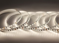 24V 2835 Single Color LED Strip Light 120LED/m 10mm Flexible Tape High Brightness,Whymelighting – Pro LED Strips & Diffused Blocks, Factory Direct,24V 2835 Single Color LED Strip Light 120LED/m 10mm Flexible Tape High Brightness
