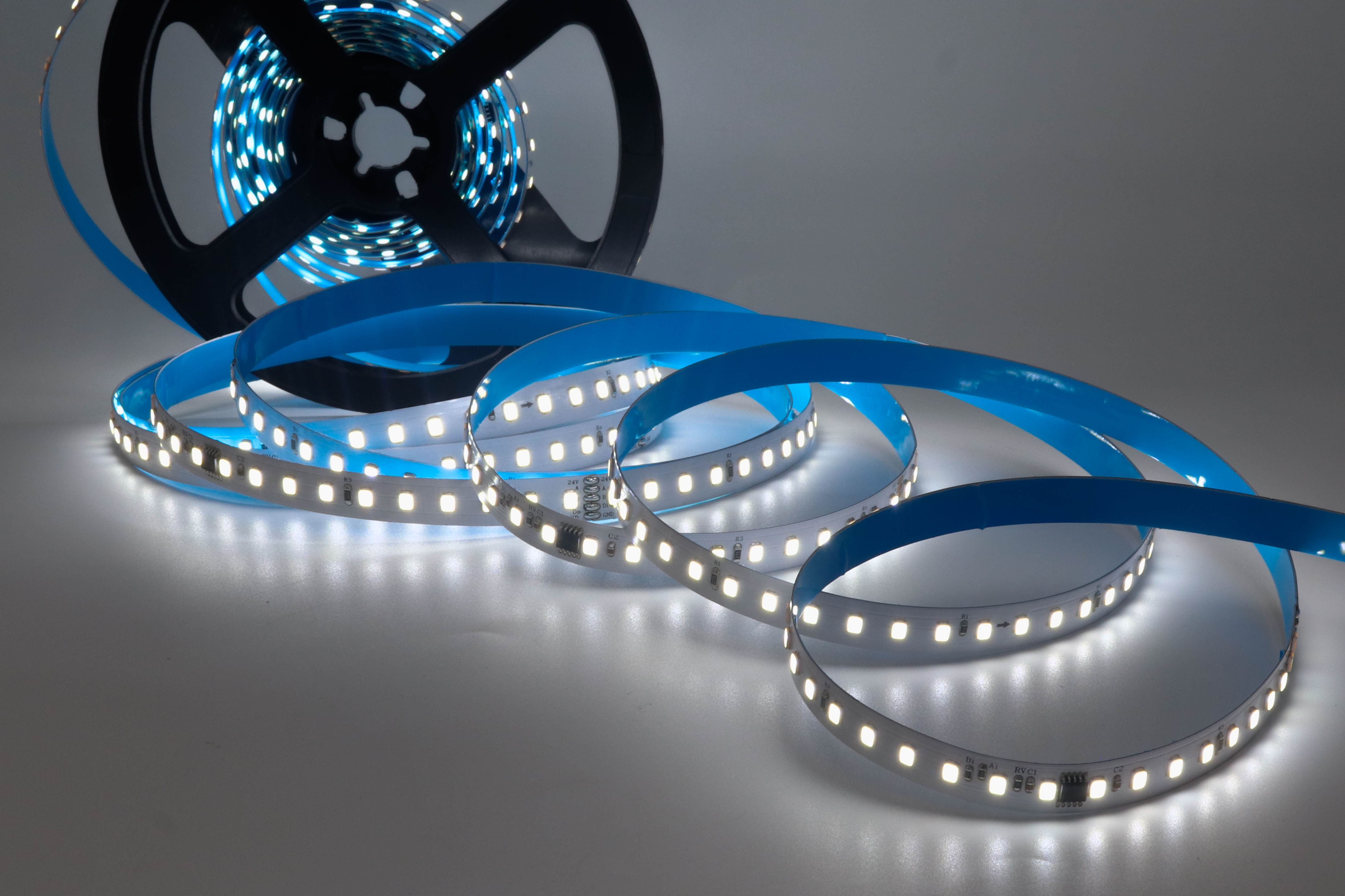 UCS512H4L 2835 Single Color LED Strip 4-Segment 120 LEDs 24V DMX512 10mm,Whymelighting – Pro LED Strips & Diffused Blocks, Factory Direct,UCS512H4L 2835 Single Color LED Strip 4-Segment 120 LEDs 24V DMX512 10mm