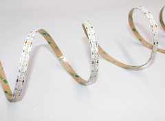 24V 2216 Single Color LED Strip Light 280LED Ultra-High Density Flexible Tape,Whymelighting – Pro LED Strips & Diffused Blocks, Factory Direct,24V 2216 Single Color LED Strip Light 280LED Ultra-High Density Flexible Tape