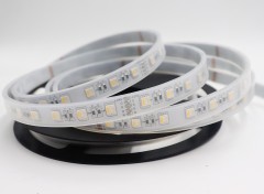 24V 5050 RGBW LED Strip Light 60LED/m 12mm RGB + White Color Changing Tape,Whymelighting – Pro LED Strips & Diffused Blocks, Factory Direct,24V 5050 RGBW LED Strip Light 60LED/m 12mm RGB + White Color Changing Tape