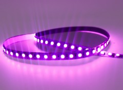 24V 5050 RGB LED Strip Light 96LEDs Seven Color Changing Flexible Tape 10mm,Whymelighting – Pro LED Strips & Diffused Blocks, Factory Direct,24V 5050 RGB LED Strip Light 96LEDs Seven Color Changing Flexible Tape 10mm