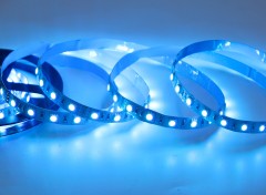 24V 5050 RGB LED Strip Light 60LED/m Color Changing Flexible Tape Rainbow,Whymelighting – Pro LED Strips & Diffused Blocks, Factory Direct,24V 5050 RGB LED Strip Light 60LED/m Color Changing Flexible Tape Rainbow