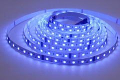 24V SM18512P 5050 RGB Dream Color LED Strip 60 LEDs/ 10 Addressable Pixels,Whymelighting – Pro LED Strips & Diffused Blocks, Factory Direct,24V SM18512P 5050 RGB Dream Color LED Strip 60 LEDs/ 10 Addressable Pixels