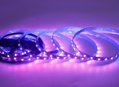 12V 5050 RGBW LED Strip Light 60LED/m 4-in-1 RGB + White Color Changing Tape,Whymelighting – Pro LED Strips & Diffused Blocks, Factory Direct,12V 5050 RGBW LED Strip Light 60LED/m 4-in-1 RGB + White Color Changing Tape