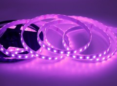 24V 5050 RGBW LED Strip Light 60LED/m 12mm RGB + White Color Changing Tape,Whymelighting – Pro LED Strips & Diffused Blocks, Factory Direct,24V 5050 RGBW LED Strip Light 60LED/m 12mm RGB + White Color Changing Tape
