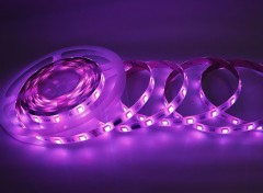 UCS512C4 5050 RGB LED Strip 10 Pixel 60 LEDs 24V DMX512 Addressable 12mm,Whymelighting – Pro LED Strips & Diffused Blocks, Factory Direct,UCS512C4 5050 RGB LED Strip 10 Pixel 60 LEDs 24V DMX512 Addressable 12mm