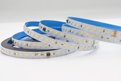 UCS512H4L 2835 Single Color LED Strip 4-Segment 120 LEDs 24V DMX512 10mm,Whymelighting – Pro LED Strips & Diffused Blocks, Factory Direct,UCS512H4L 2835 Single Color LED Strip 4-Segment 120 LEDs 24V DMX512 10mm