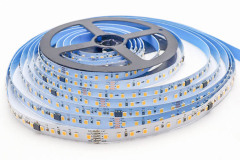 UCS512H4L 2835 Single Color LED Strip Light 8-Segment 120 LEDs 24V 10mm,Whymelighting – Pro LED Strips & Diffused Blocks, Factory Direct,UCS512H4L 2835 Single Color LED Strip Light 8-Segment 120 LEDs 24V 10mm