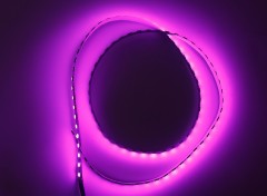 24V 5050 RGB LED Strip Light 96LEDs Seven Color Changing Flexible Tape 10mm,Whymelighting – Pro LED Strips & Diffused Blocks, Factory Direct,24V 5050 RGB LED Strip Light 96LEDs Seven Color Changing Flexible Tape 10mm