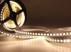 24V 5050 CCT LED Strip Light 120LED/m 10mm Wide Dual Color Temperature,Whymelighting – Pro LED Strips & Diffused Blocks, Factory Direct,24V 5050 CCT LED Strip Light 120LED/m 10mm Wide Dual Color Temperature