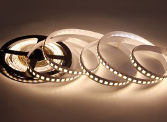 24V 5050 CCT LED Strip Light 120LED/m 10mm Wide Dual Color Temperature,Whymelighting – Pro LED Strips & Diffused Blocks, Factory Direct,24V 5050 CCT LED Strip Light 120LED/m 10mm Wide Dual Color Temperature