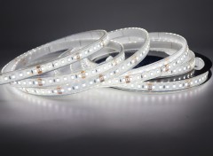 24V 2835 Single Color LED Strip Light 120LED/m 10mm Flexible Tape High Brightness,Whymelighting – Pro LED Strips & Diffused Blocks, Factory Direct,24V 2835 Single Color LED Strip Light 120LED/m 10mm Flexible Tape High Brightness