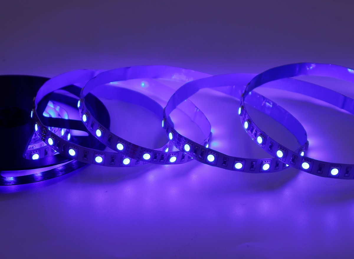 24V 5050 RGB LED Strip Light 60LED/m Color Changing Flexible Tape Rainbow,Whymelighting – Pro LED Strips & Diffused Blocks, Factory Direct,24V 5050 RGB LED Strip Light 60LED/m Color Changing Flexible Tape Rainbow