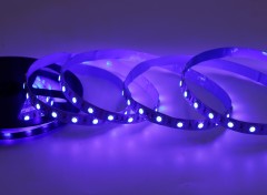 24V 5050 RGB LED Strip Light 60LED/m Color Changing Flexible Tape Rainbow,Whymelighting – Pro LED Strips & Diffused Blocks, Factory Direct,24V 5050 RGB LED Strip Light 60LED/m Color Changing Flexible Tape Rainbow