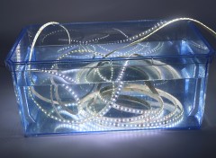 24V 2835 Single Color LED Strip Light 120LED/m 10mm Flexible Tape High Brightness,Whymelighting – Pro LED Strips & Diffused Blocks, Factory Direct,24V 2835 Single Color LED Strip Light 120LED/m 10mm Flexible Tape High Brightness