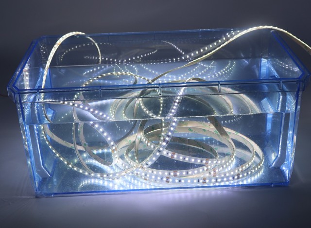 24V 2835 Single Color LED Strip Light 120LED/m 10mm Flexible Tape High Brightness,Whymelighting – Pro LED Strips & Diffused Blocks, Factory Direct,24V 2835 Single Color LED Strip Light 120LED/m 10mm Flexible Tape High Brightness