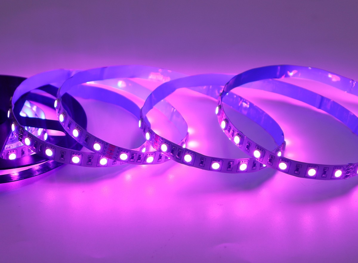 24V 5050 RGB LED Strip Light 60LED/m Color Changing Flexible Tape Rainbow,Whymelighting – Pro LED Strips & Diffused Blocks, Factory Direct,24V 5050 RGB LED Strip Light 60LED/m Color Changing Flexible Tape Rainbow