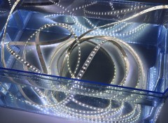 24V 2835 Single Color LED Strip Light 120LED/m 10mm Flexible Tape High Brightness,Whymelighting – Pro LED Strips & Diffused Blocks, Factory Direct,24V 2835 Single Color LED Strip Light 120LED/m 10mm Flexible Tape High Brightness