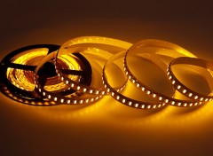 24V 5050 CCT LED Strip Light 120LED/m 10mm Wide Dual Color Temperature,Whymelighting – Pro LED Strips & Diffused Blocks, Factory Direct,24V 5050 CCT LED Strip Light 120LED/m 10mm Wide Dual Color Temperature