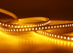 24V 5050 CCT LED Strip Light 120LED/m 10mm Wide Dual Color Temperature,Whymelighting – Pro LED Strips & Diffused Blocks, Factory Direct,24V 5050 CCT LED Strip Light 120LED/m 10mm Wide Dual Color Temperature