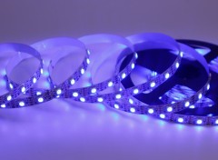 12V WS2815 5050 RGB LED Strip 60LED Individually Addressable Dream Color Tape,Whymelighting – Pro LED Strips & Diffused Blocks, Factory Direct,12V WS2815 5050 RGB LED Strip 60LED Individually Addressable Dream Color Tape