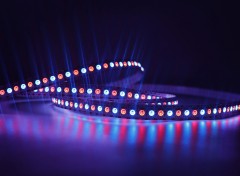 DC12V SK6813 Built-in IC SMD5050 RGB LED Strip 144LEDs 144Pixels 12mm PCB,Whymelighting – Pro LED Strips & Diffused Blocks, Factory Direct,DC12V SK6813 Built-in IC SMD5050 RGB LED Strip 144LEDs 144Pixels 12mm PCB