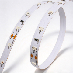 DC24V 2835 Red LED Strip 60LEDs 8mm Narrow PCB Single Color Red Light Tape,Whymelighting – Pro LED Strips & Diffused Blocks, Factory Direct,DC24V 2835 Red LED Strip 60LEDs 8mm Narrow PCB Single Color Red Light Tape