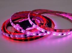 DC12V LB1934 5050 RGB LED Strip 60LEDs 20Pixels/m Full Color 10mm Flex Tape,Whymelighting – Pro LED Strips & Diffused Blocks, Factory Direct,DC12V LB1934 5050 RGB LED Strip 60LEDs 20Pixels/m Full Color 10mm Flex Tape
