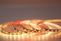 DC24V UCS2904 5050 RGBW 60LEDs/m 10Pixels/m 10mm Wide Digital LED Strip,Whymelighting – Pro LED Strips & Diffused Blocks, Factory Direct,DC24V UCS2904 5050 RGBW 60LEDs/m 10Pixels/m 10mm Wide Digital LED Strip