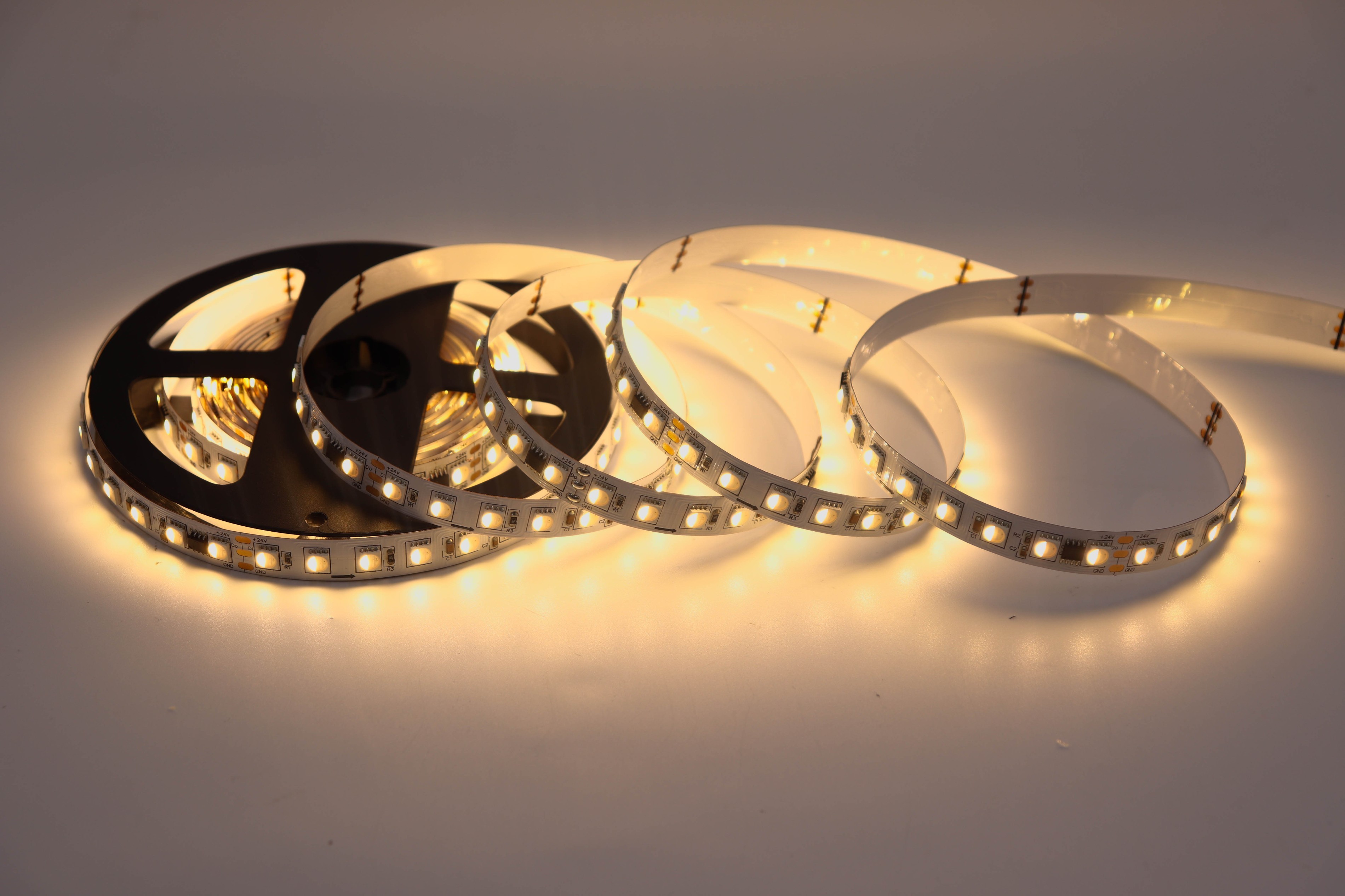 UCS2904 5050 RGBW 10 Segments 60 LEDs 24V Addressable LED Strip Light 10mm,Whymelighting – Pro LED Strips & Diffused Blocks, Factory Direct,UCS2904 5050 RGBW 10 Segments 60 LEDs 24V Addressable LED Strip Light 10mm
