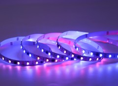 TM1814 5050 RGBW 20 Pixel 60 LEDs 12V 10mm Addressable LED Strip Light Tape,Whymelighting – Pro LED Strips & Diffused Blocks, Factory Direct,TM1814 5050 RGBW 20 Pixel 60 LEDs 12V 10mm Addressable LED Strip Light Tape