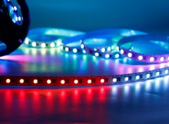 DC12V 10mm Individual Addressable LED Strip SMD 5050 RGB LB1908 IC 60 leds,Whymelighting – Pro LED Strips & Diffused Blocks, Factory Direct,DC12V 10mm Individual Addressable LED Strip SMD 5050 RGB LB1908 IC 60 leds