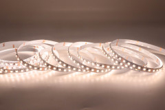 DC24V FW1934A 2835 led strip 120LEDs 20Pixels/m Single Color Addressable 8mm,Whymelighting – Pro LED Strips & Diffused Blocks, Factory Direct,DC24V FW1934A 2835 led strip 120LEDs 20Pixels/m Single Color Addressable 8mm