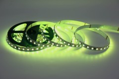 UCS2904 5050 RGBW 10 Segments 60 LEDs 24V Addressable LED Strip Light 10mm,Whymelighting – Pro LED Strips & Diffused Blocks, Factory Direct,UCS2904 5050 RGBW 10 Segments 60 LEDs 24V Addressable LED Strip Light 10mm