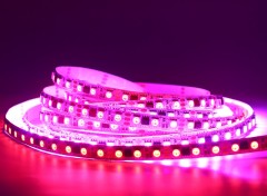 DC12V 10mm Addressable LED Strip SMD 5050 RGB UCS1903B IC 84 LEDs 28 Pixels/m,Whymelighting – Pro LED Strips & Diffused Blocks, Factory Direct,DC12V 10mm Addressable LED Strip SMD 5050 RGB UCS1903B IC 84 LEDs 28 Pixels/m
