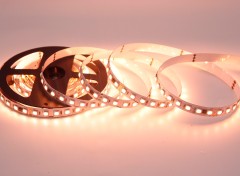 TM1814 5050 RGBW 10 Pixel 60 LEDs 10mm DC24V SPI Programmable RGBW Pixel Tape Light,Whymelighting – Pro LED Strips & Diffused Blocks, Factory Direct,TM1814 5050 RGBW 10 Pixel 60 LEDs 10mm DC24V SPI Programmable RGBW Pixel Tape Light