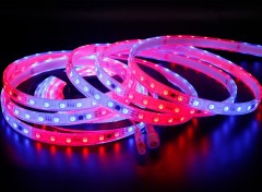 DC24V UCS1903B 5050 RGB IP68 Glue-Filled LED Strip60 LEDs Waterproof Outdoor Flex Tape 10mm,Whymelighting – Pro LED Strips & Diffused Blocks, Factory Direct,DC24V UCS1903B 5050 RGB IP68 Glue-Filled LED Strip60 LEDs Waterproof Outdoor Flex Tape 10mm